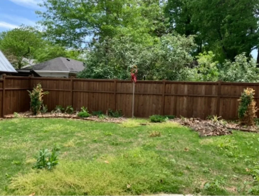 Backyard fence line before: patchy lawn and debris along a wood fence
