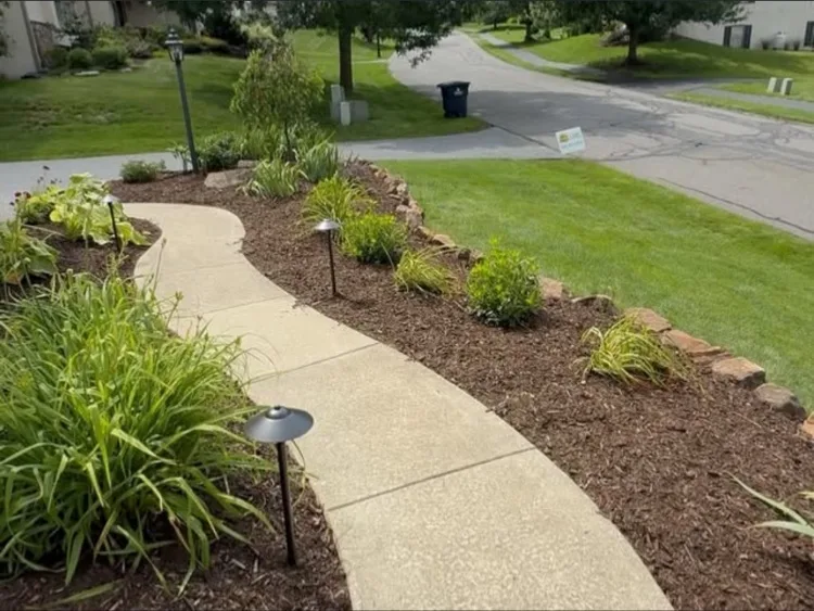 Curved concrete walkway between freshly mulched beds with path lights and ornamental grasses